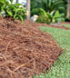 landscape mulching in the fall
