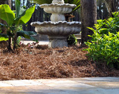 Mulch Naturally with Pine Needles (Pine Straw), Davey Blog