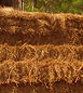 wholesale pine straw sold by the truckload